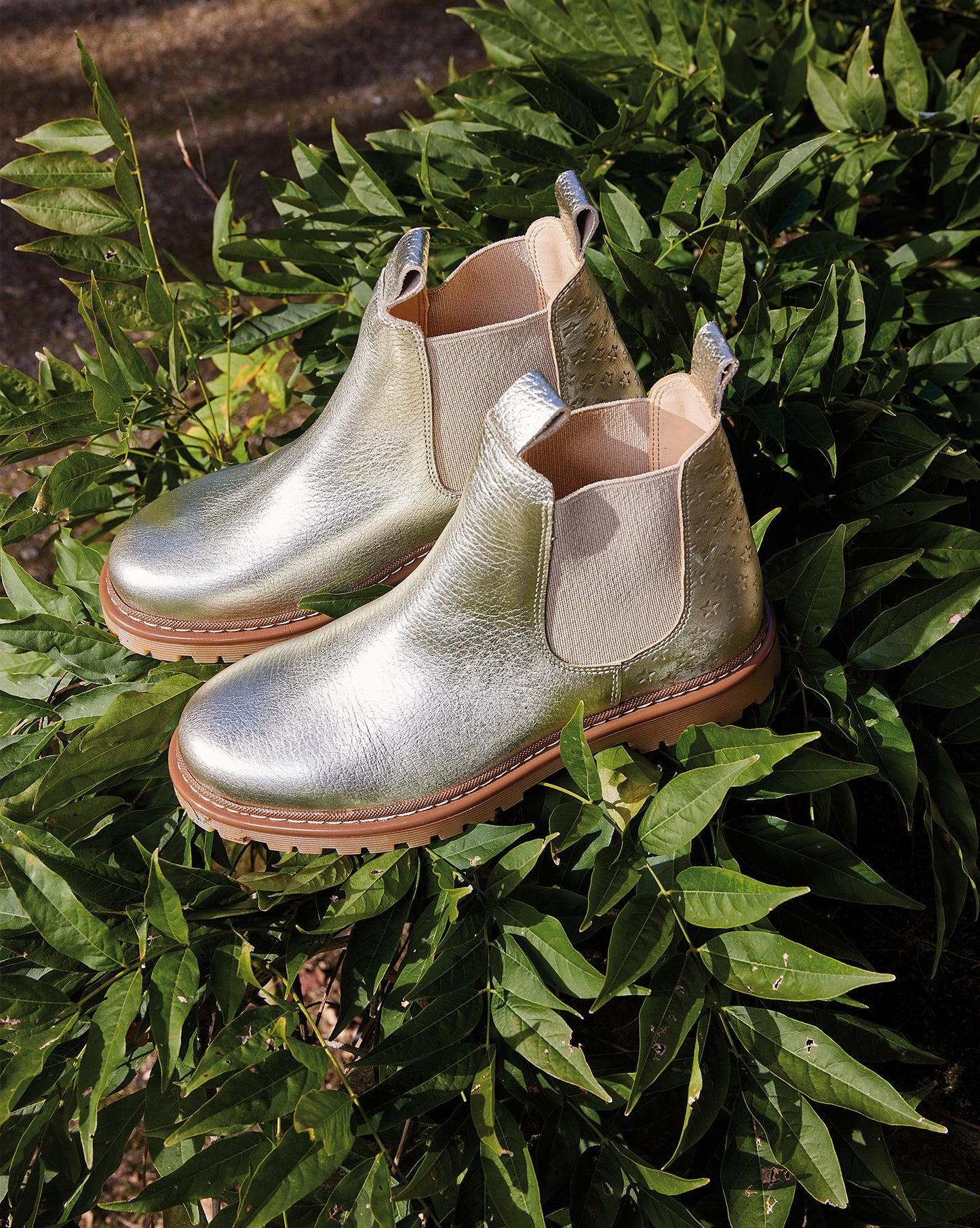 Ankle boots - - Bontonxangulus Chelsea Goldenleather