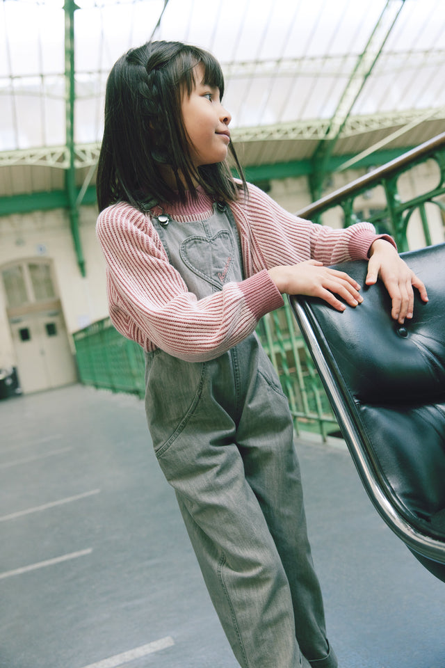 Dungaree - June Chambray Gray - Image alternative